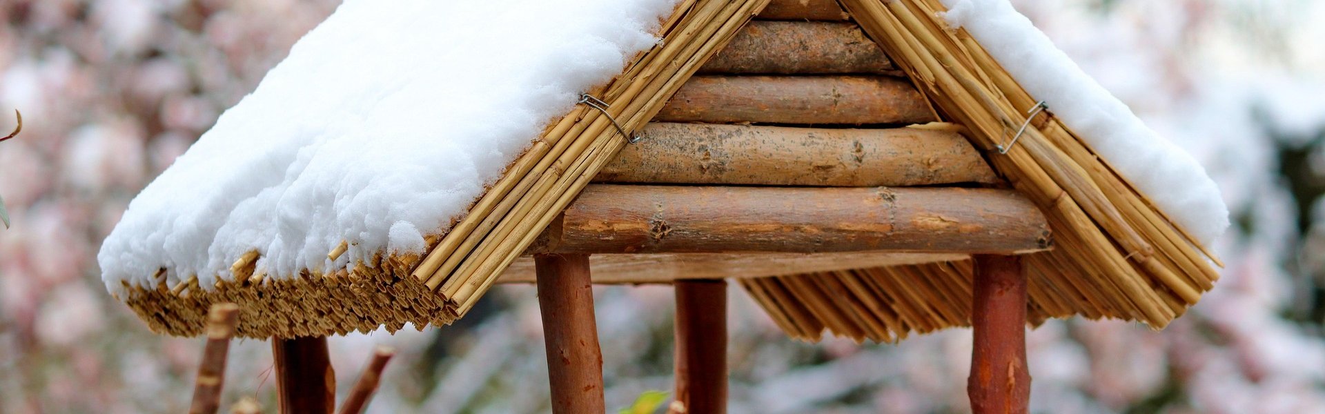Benessere abitativo il legno in casa e nella vita